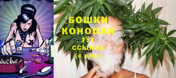 стаф Балахна