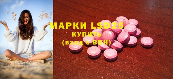 стаф Балахна