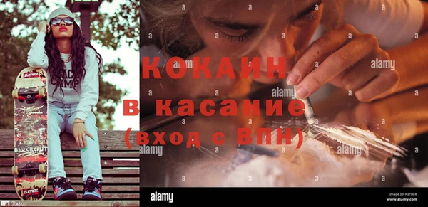 стаф Балахна