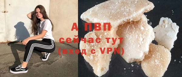 стаф Балахна
