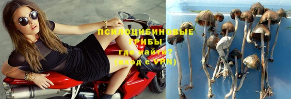 стаф Балахна